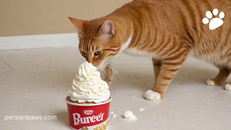 Can Cats Eat Whipped Cream? A Nutritional Investigation