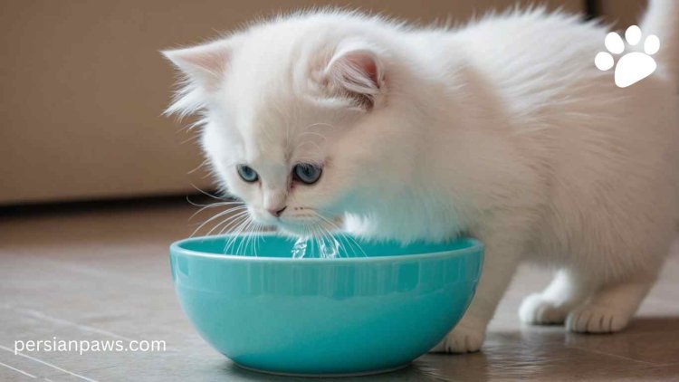 a cat drinking water in a bowl